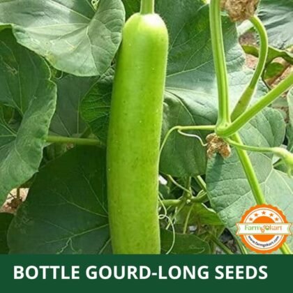 Bottle Gourd Long F1 Hybrid - Pack of 15 Seeds