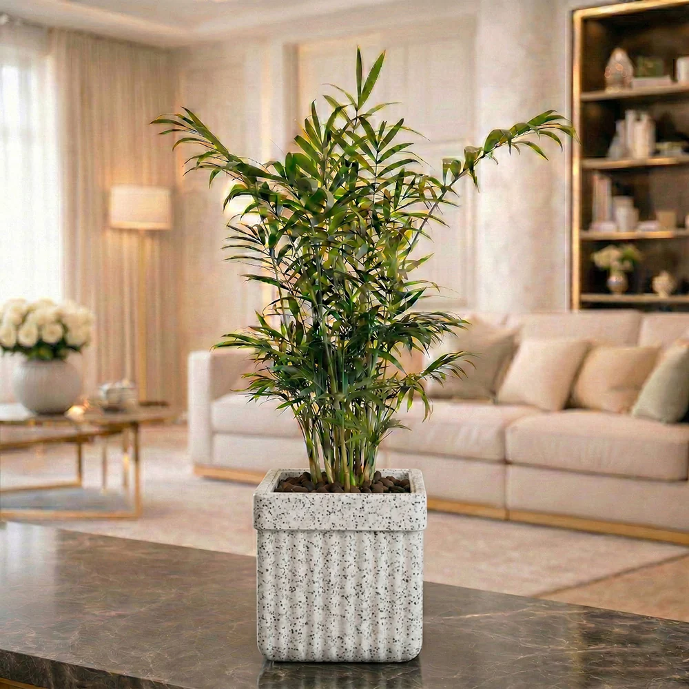 Roto Tiny 02 Self Watering Square Plant Pot 6" - Image 7