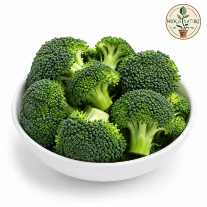 Broccoli Sprouting