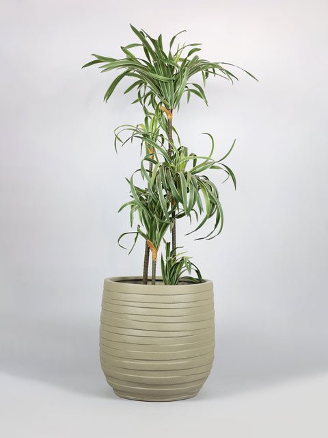 Cone Fiberglass Planters – Yellow Grey - Image 2