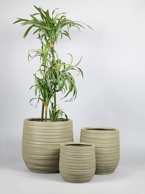 Cone Fiberglass Planters – Yellow Grey - Image 5