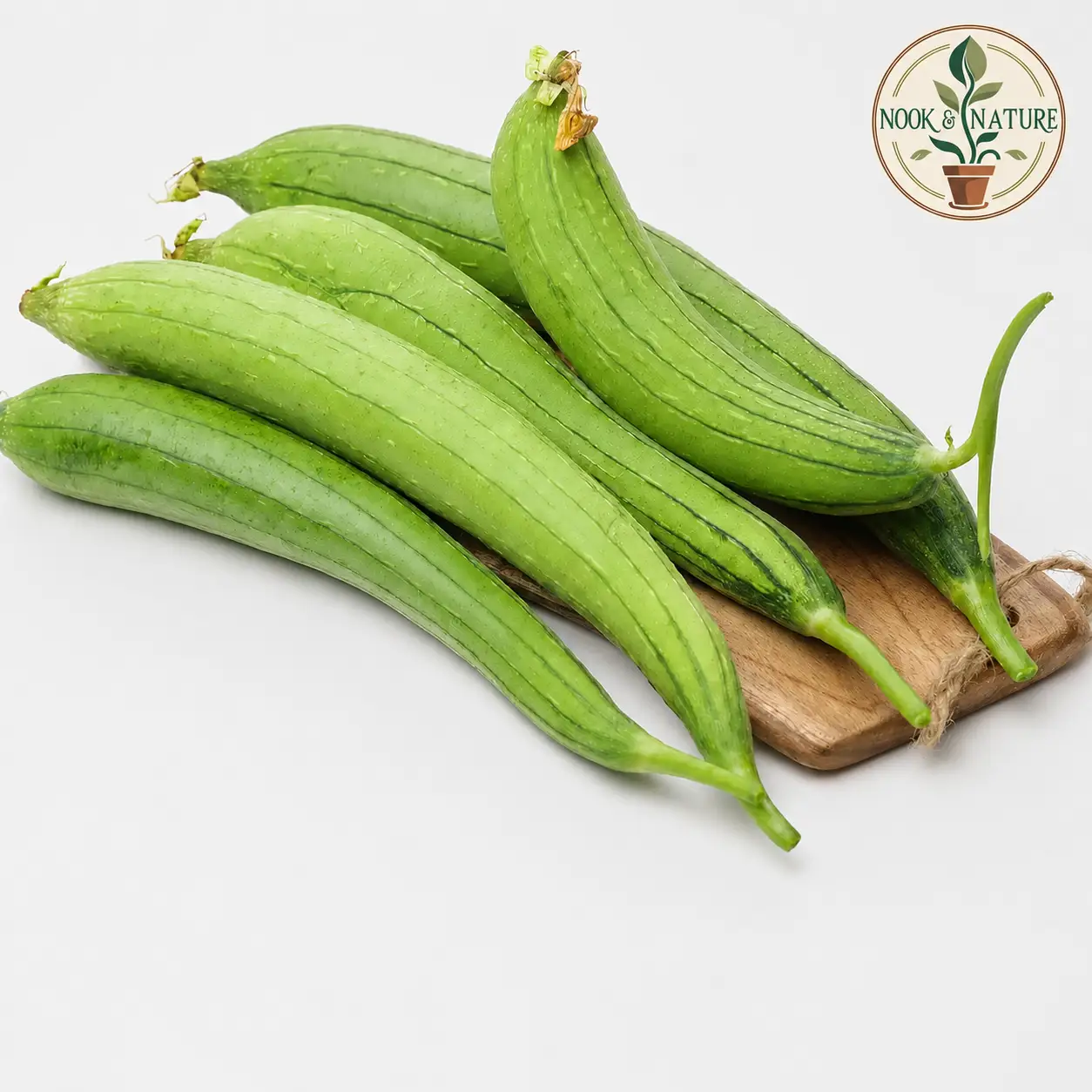 Sponge Gourd Hybrid