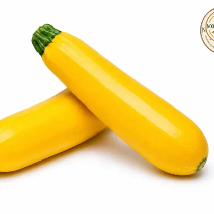 Yellow Zucchini