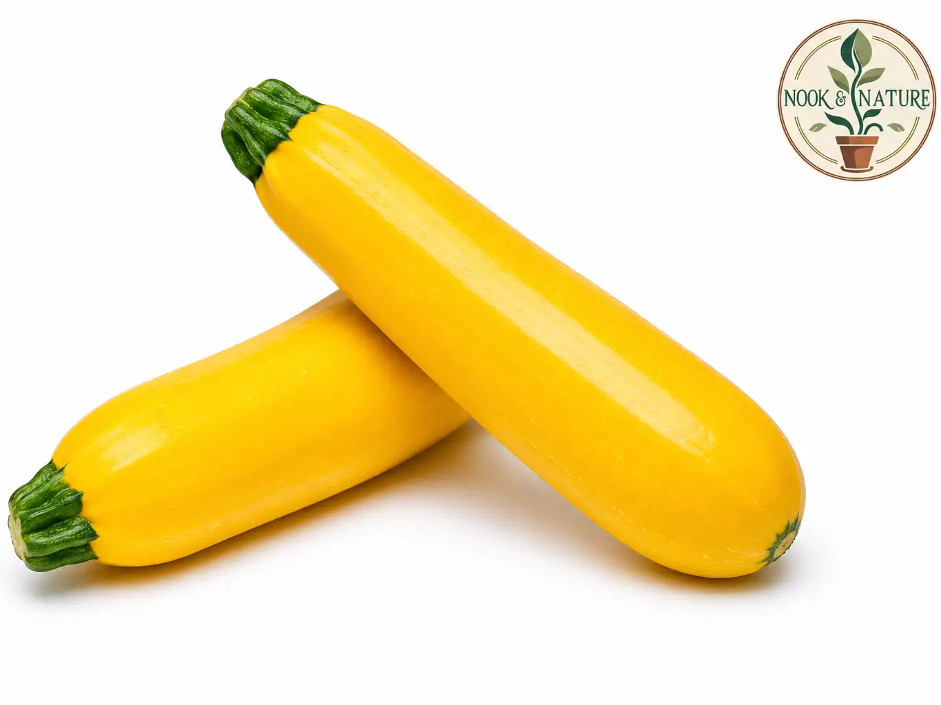 Yellow Zucchini