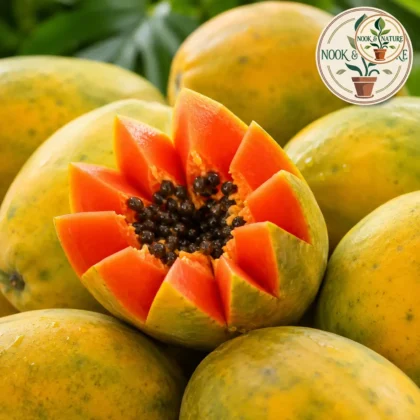 Papaya Seeds