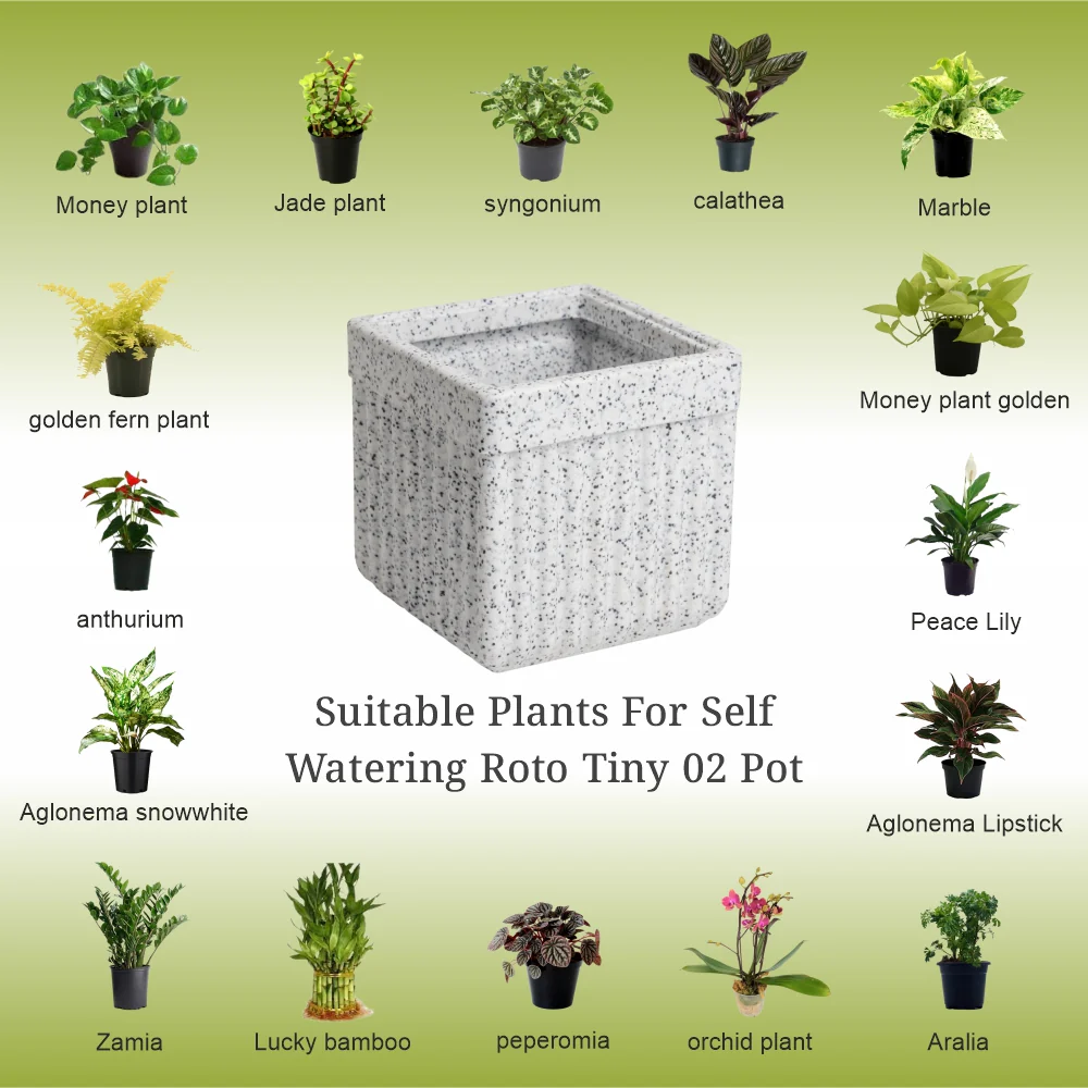 Roto Tiny 02 Self Watering Square Plant Pot 6" - Image 12