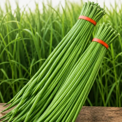 IMP YARD LONG BEANS