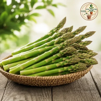 Asparagus