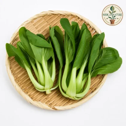 Pak Choi, Bok Choy