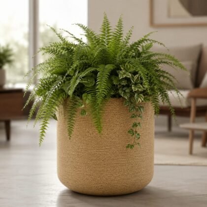 Audi Pot