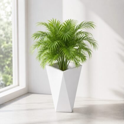 Aura Planter