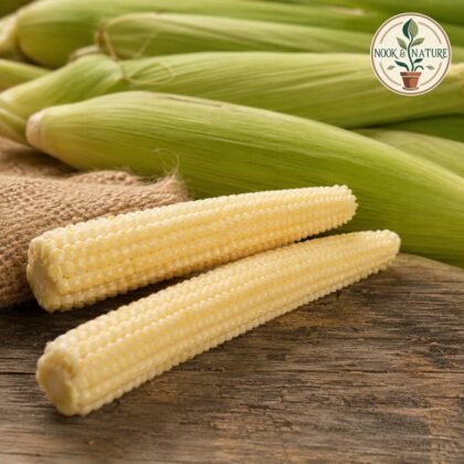 Baby Corn