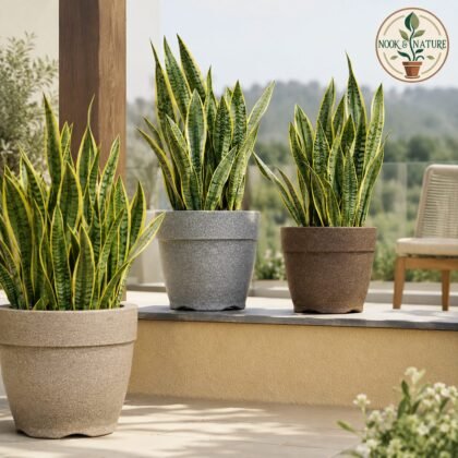 Barca Round Planter