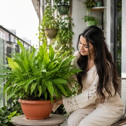 Bello Bowl Planter