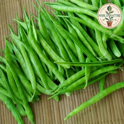 CLUSTER BEANS