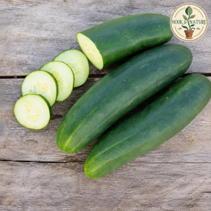 CUCUMBER DARK GREEN HYBRID SEEDS