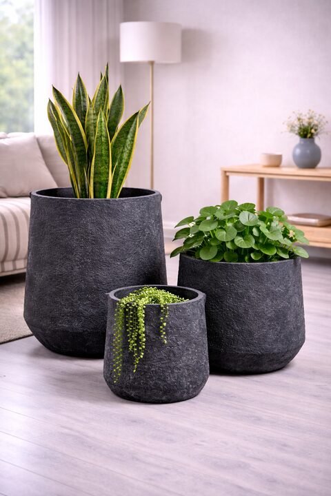 Pothos Fiberglass Planters