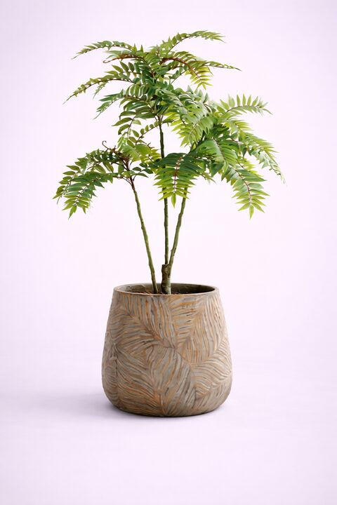 Peach Fiberglass Planters - Image 4