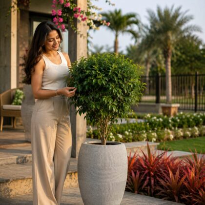 Chevron Planter
