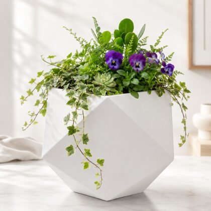 Cosmos Planter