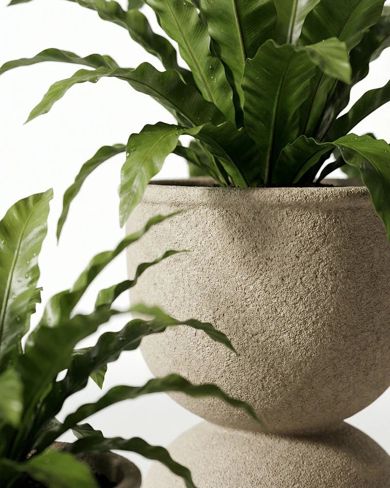 Drum Fiberglass Planter - Rustic - Image 3