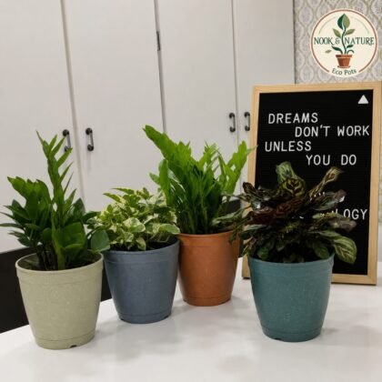 Eco Pots