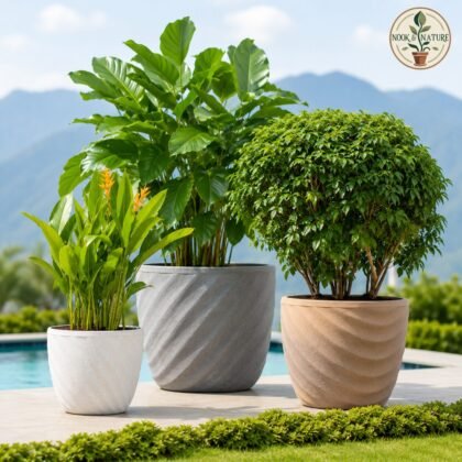 Euro Planter