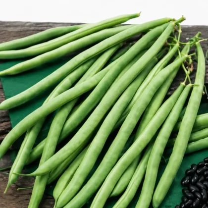 FRENCH BEANS OS IMP BLACK