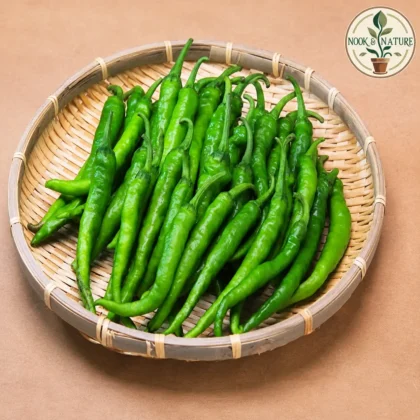 GREEN CHILLI SEEDS