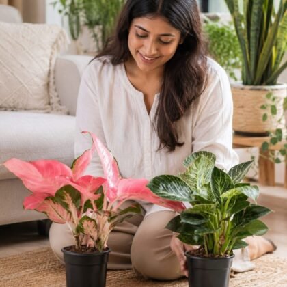 GroPro Planter