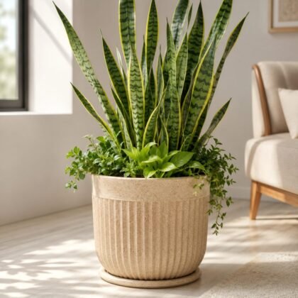 Glory Pot
