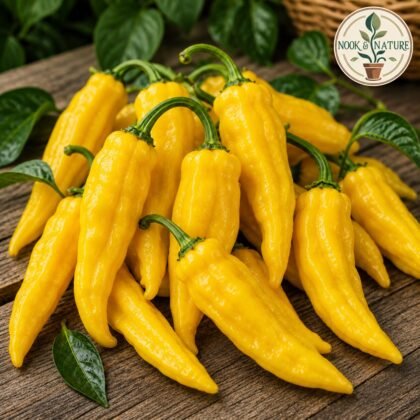 HOT PEPPER YELLOW DESIRE