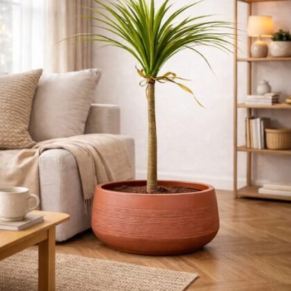 Oak Fiberglass Planters – Terracotta