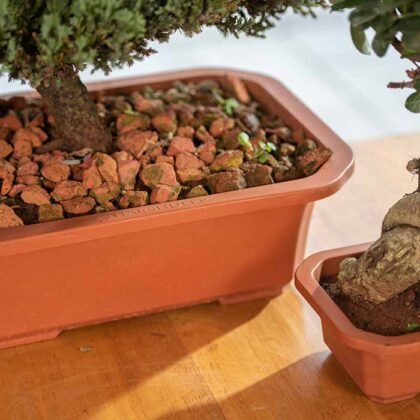 Juniper Planter