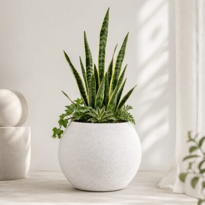 Matka Planter