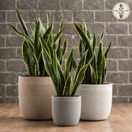 Milano Short Stone Finish Planter