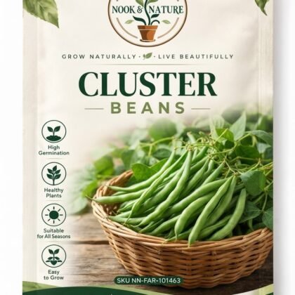 Cluster Beans
