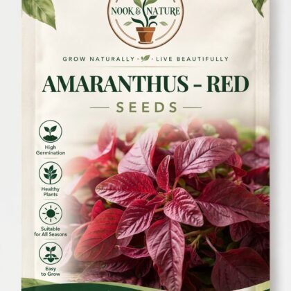 Amaranthus - Red
