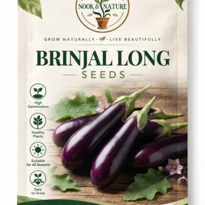 Brinjal Long