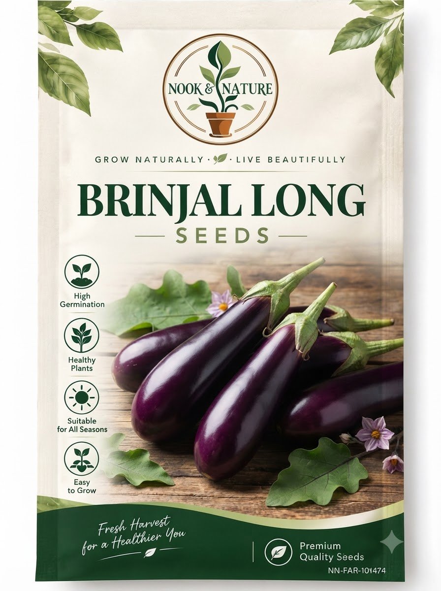 Brinjal Long