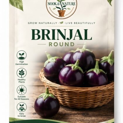 Brinjal Round