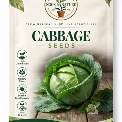 CABBAGE