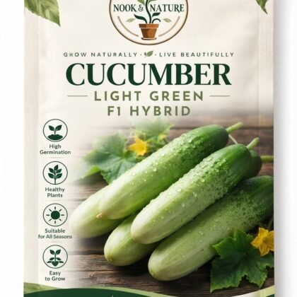Cucumber Light Green F1 Hybrid Seeds