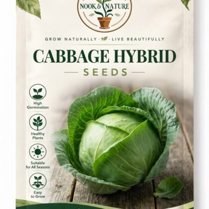 Cabbage Hybrid
