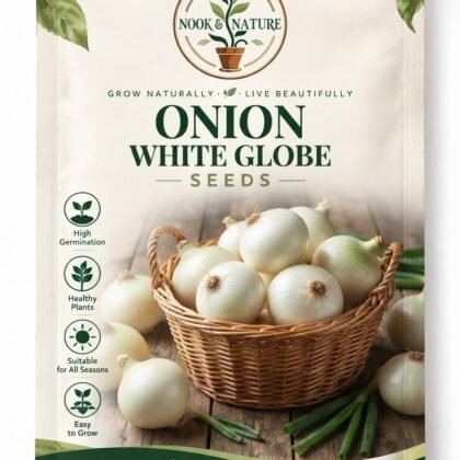 Onion White Globe