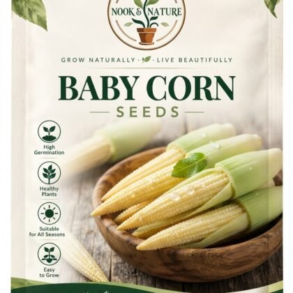 Nook and Nature baby corn seed packet featuring a bowl of fresh baby corn and key features.