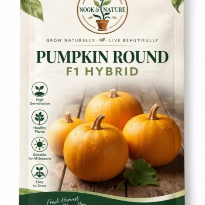 Pumpkin Round F1 Hybrid