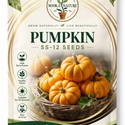 Pumpkin SS-12 Seeds