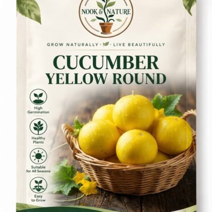 Cucumber Yellow Round