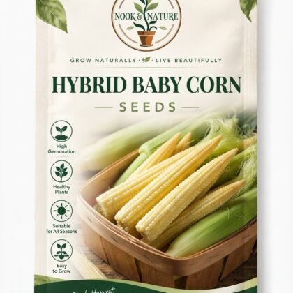 Nook & Nature seed packet featuring Hybrid Baby Corn Seeds and a basket of baby corn.
